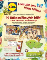 Lidl Akn nabdka od 28.1.2013, strana 20 