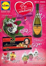 Lidl Akn nabdka od 11.2.2013, strana 1 