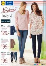 Lidl Akn nabdka od 11.2.2013, strana 12 