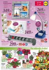 Lidl Akn nabdka od 18.2.2013, strana 17 