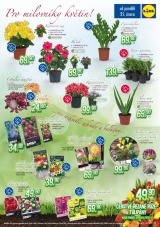 Lidl Akn nabdka od 25.2.2013, strana 15 