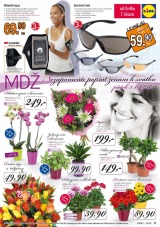 Lidl Akn nabdka od 4.3.2013, strana 23 