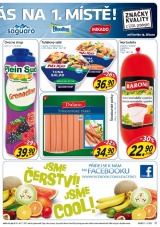 Lidl Akn nabdka od 11.3.2013, strana 31 