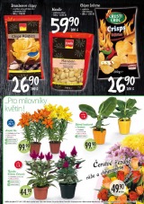 Lidl Akn nabdka od 28.7.2013, strana 7 