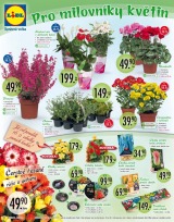 Lidl Akn nabdka od 16.9.2013, strana 20 