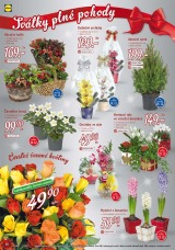 Lidl Akn nabdka od 16.12.2013, strana 26 