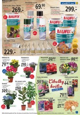 Lidl Akn nabdka od 24.2.2014, strana 11 