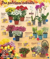 Lidl Akn nabdka od 13.10.2014, strana 23 