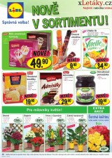 Lidl aktuln letk, strana 22 