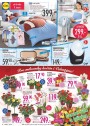 Lidl, strana 14 
