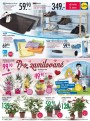Lidl, strana 14 