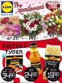Lidl, strana 1 