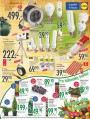 Lidl, strana 11 