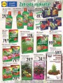 Lidl, strana 14 