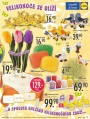 Lidl, strana 13 