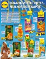 Lidl, strana 17 