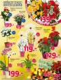Lidl, strana 19 