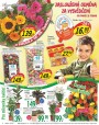 Lidl, strana 6 