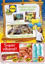 Lidl, strana 32 