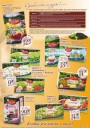 Lidl, strana 7 